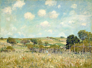 sisley