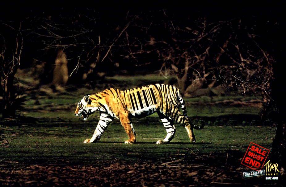 tigre codigo de barra